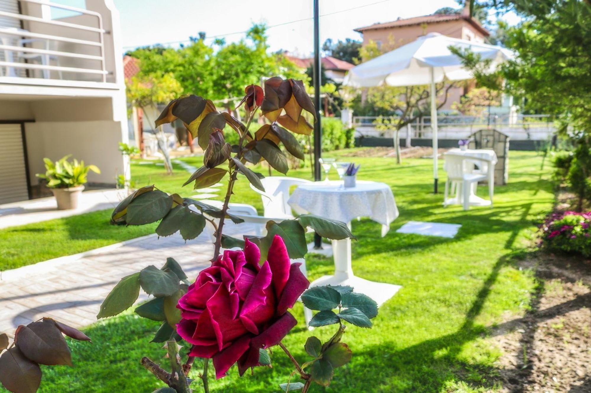 Vlachogiannis Hotel Prínos Exterior foto